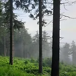 Lesna Ostoja * Goworow