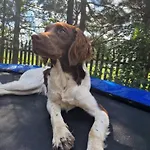 Lesna Ostoja Apartmán