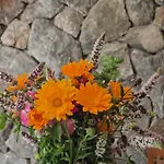 Lesna Ostoja Apartmán