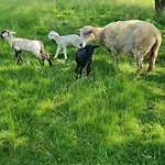 Apartmán Lesna Ostoja Goworow