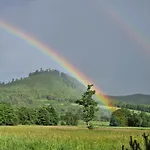 Lesna Ostoja *