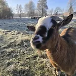 Lesna Ostoja Apartmán Goworow