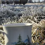 Lesna Ostoja * Goworow