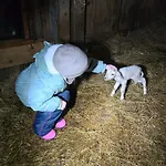 Apartmán Lesna Ostoja *