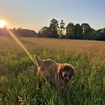 Lesna Ostoja Apartmán *