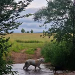 Apartmán Lesna Ostoja