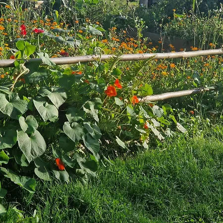 Lesna Ostoja * Goworow