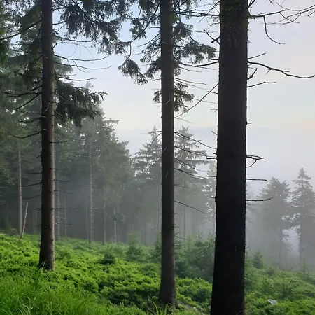 Lesna Ostoja * Goworow