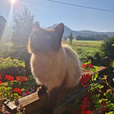 Lesna Ostoja *