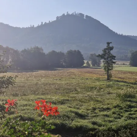 شقة Lesna Ostoja *