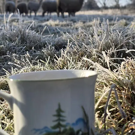 Lesna Ostoja * Goworów