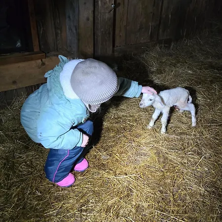 شقة Lesna Ostoja *