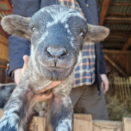 Apartmán Lesna Ostoja Goworow