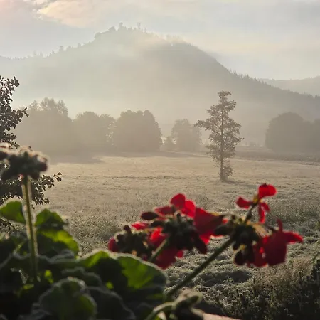Lesna Ostoja Apartmán Goworow