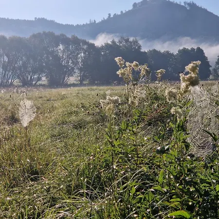 Lesna Ostoja * Goworow