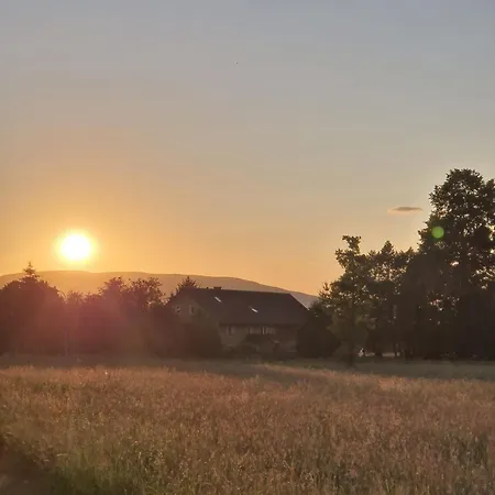 Lesna Ostoja Apartman