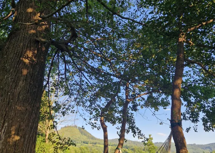 Lesna Ostoja Appartement