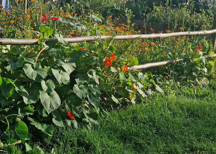 Lesna Ostoja * Goworow