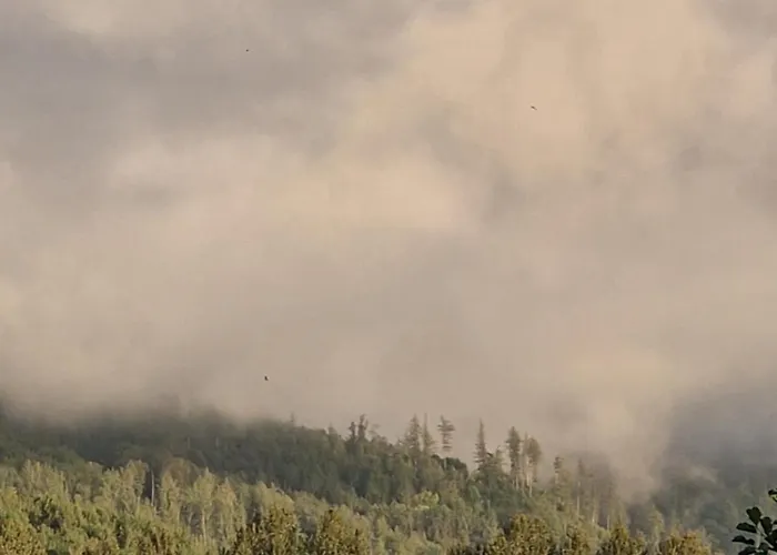 Appartement Lesna Ostoja Goworow