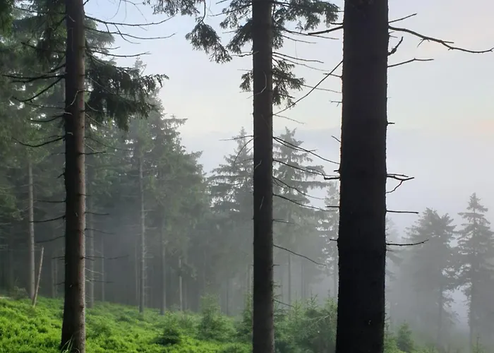 Lesna Ostoja * Goworow