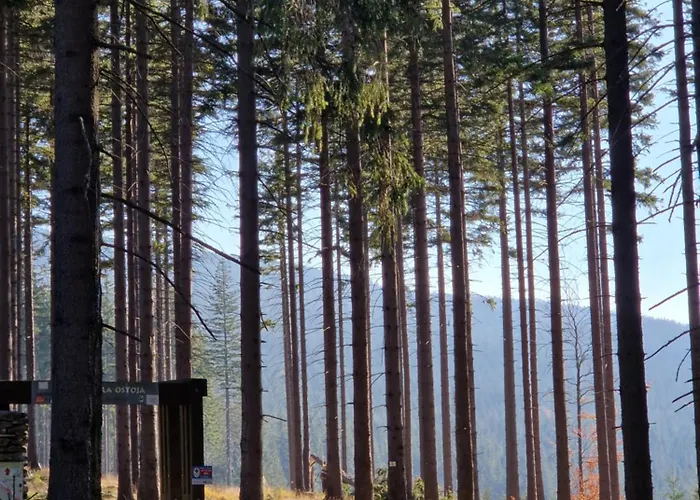 Lesna Ostoja * Goworow