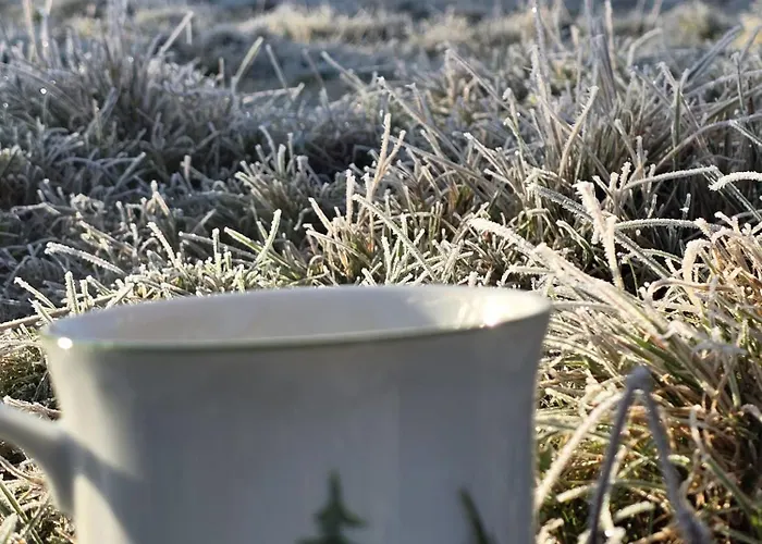 Lesna Ostoja * Goworow