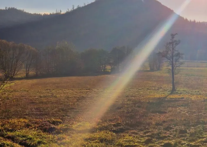 Lesna Ostoja Appartement *