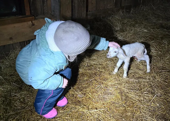 Appartement Lesna Ostoja *