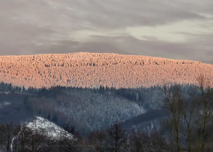 Appartement Lesna Ostoja Goworow