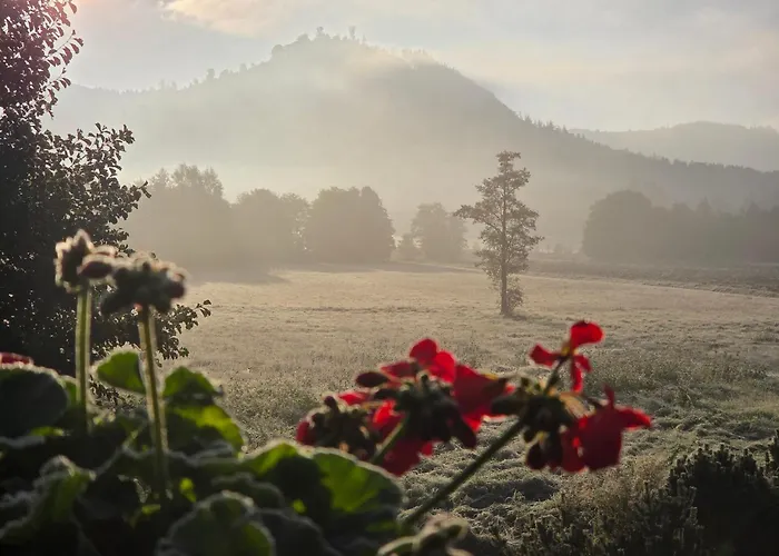 Lesna Ostoja Appartement Goworow