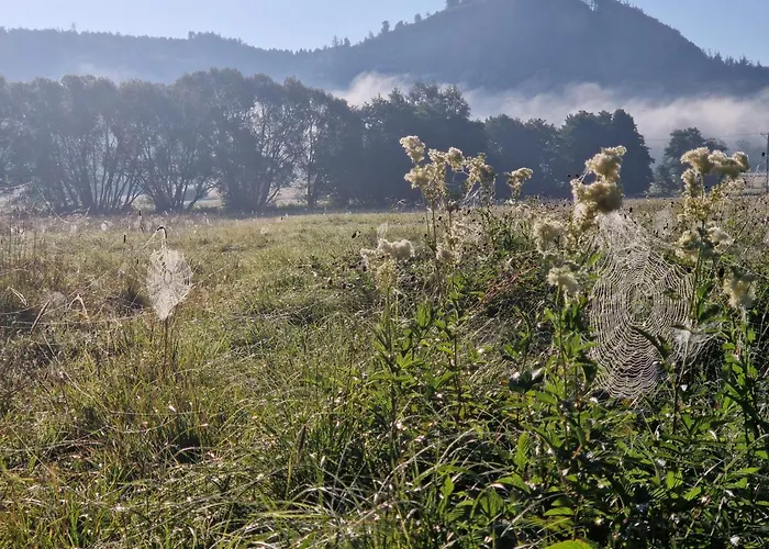 Lesna Ostoja * Goworow